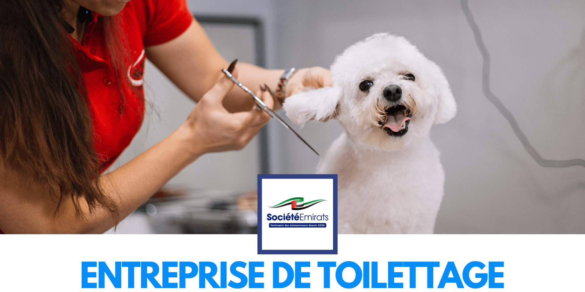 Lancement d’une Entreprise de Toilettage pour Animaux à Dubaï cover Lancement d'une Entreprise de Toilettage pour Animaux à Dubaï cover