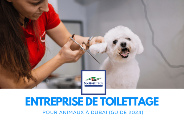 Lancement d'une Entreprise de Toilettage pour Animaux à Dubaï cover